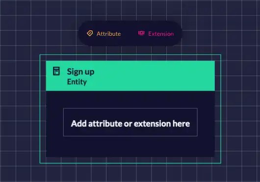 Sign up Entity Example